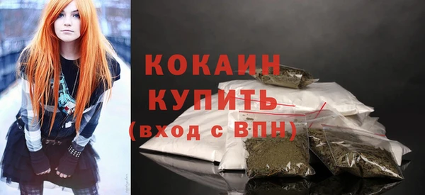 винт Инсар