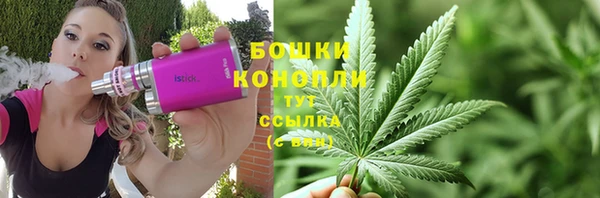 винт Инсар