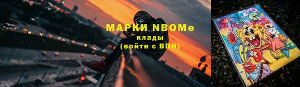 гидропоника Инта