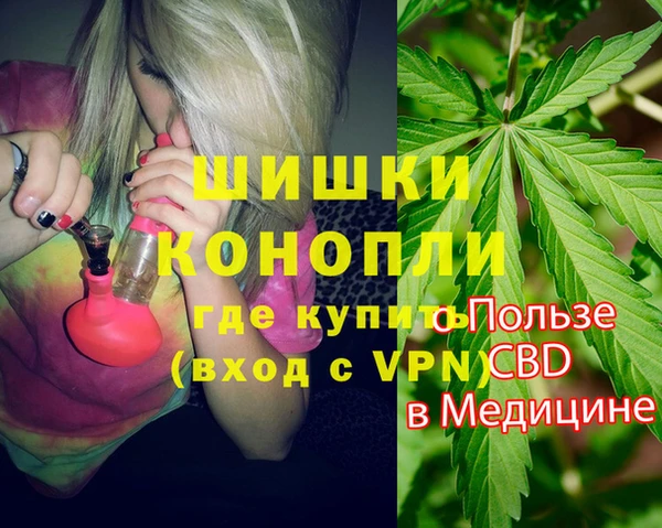 гидропоника Инта