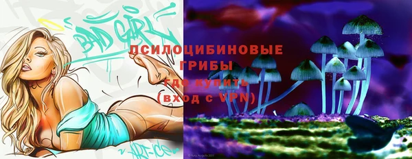 винт Инсар