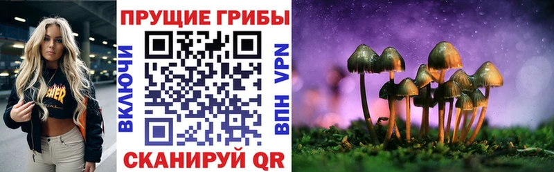 Купить закладки  Бор  Галлюциногенные грибы Psilocybe 