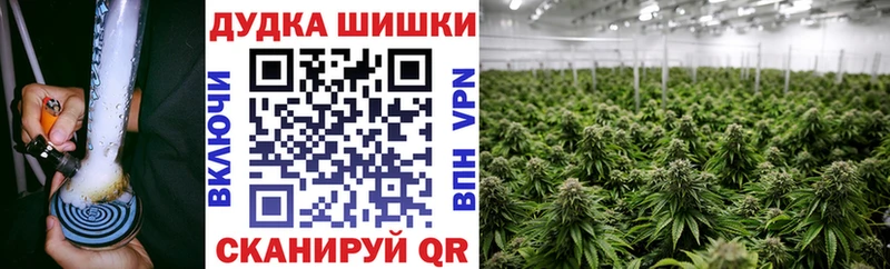 Канабис ГИДРОПОН  Купить где  Бор 